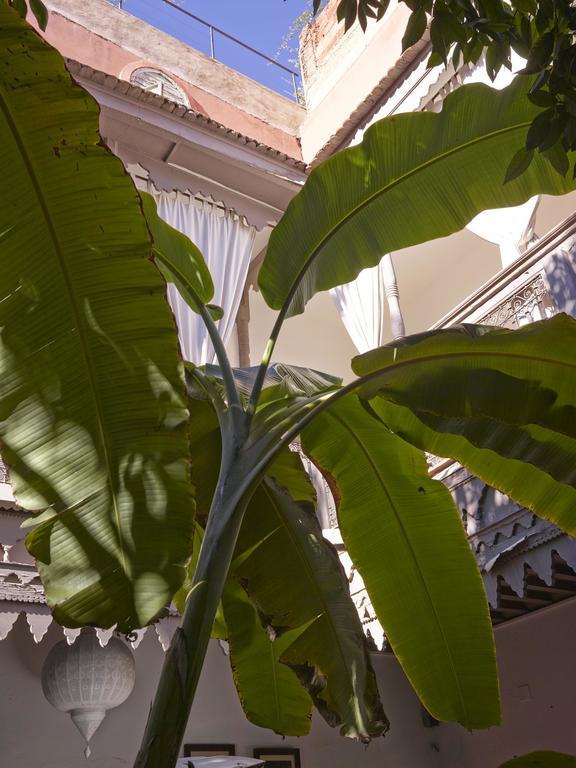 Riad Les Jardins D'Henia Marrakesh Exterior photo
