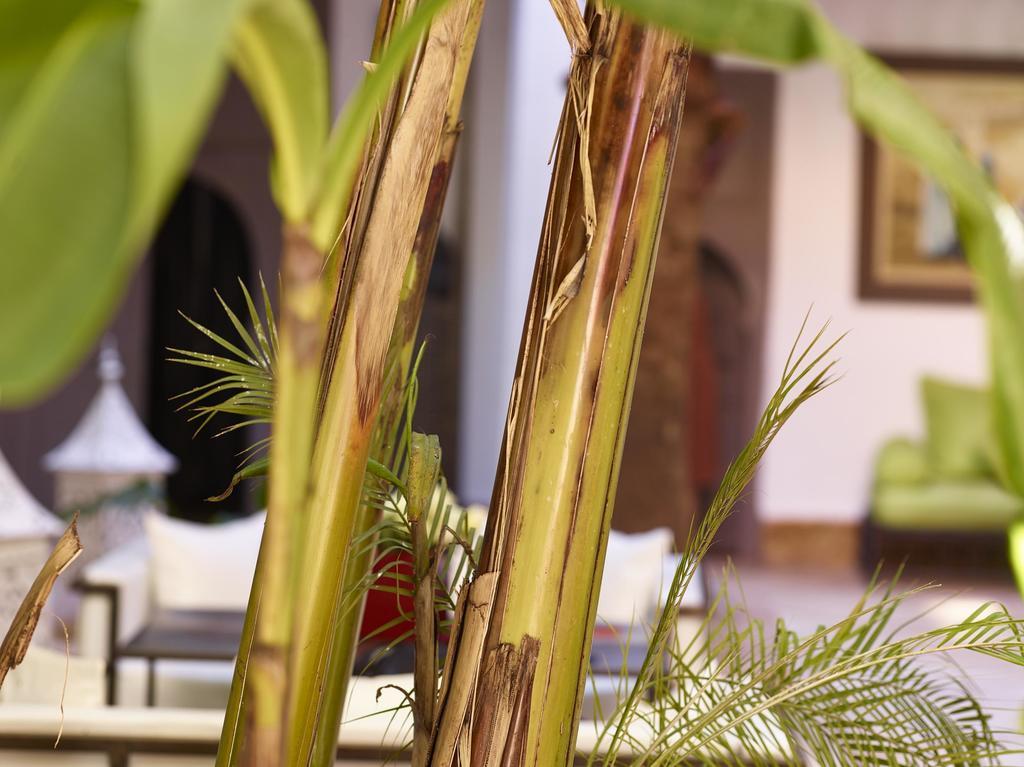 Riad Les Jardins D'Henia Marrakesh Exterior photo